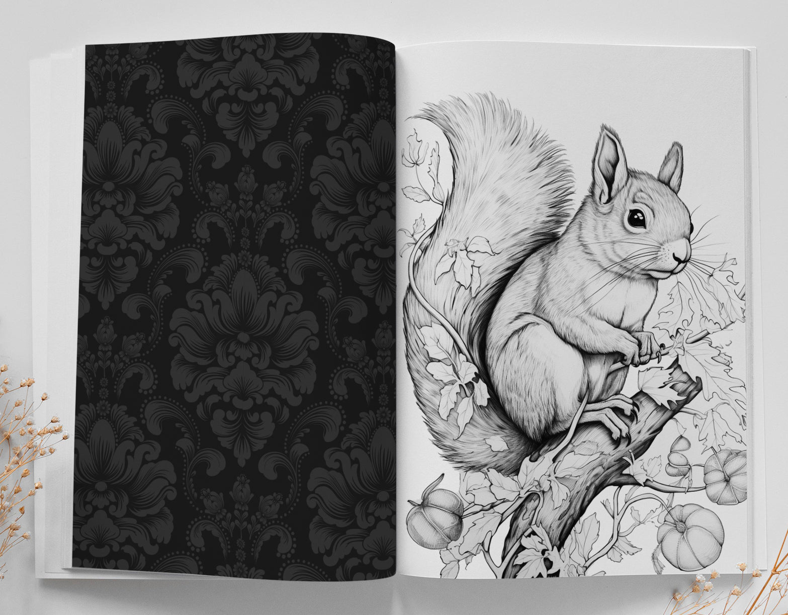 Autumn squirrels Coloring Book digital Monsoon Publishing USA