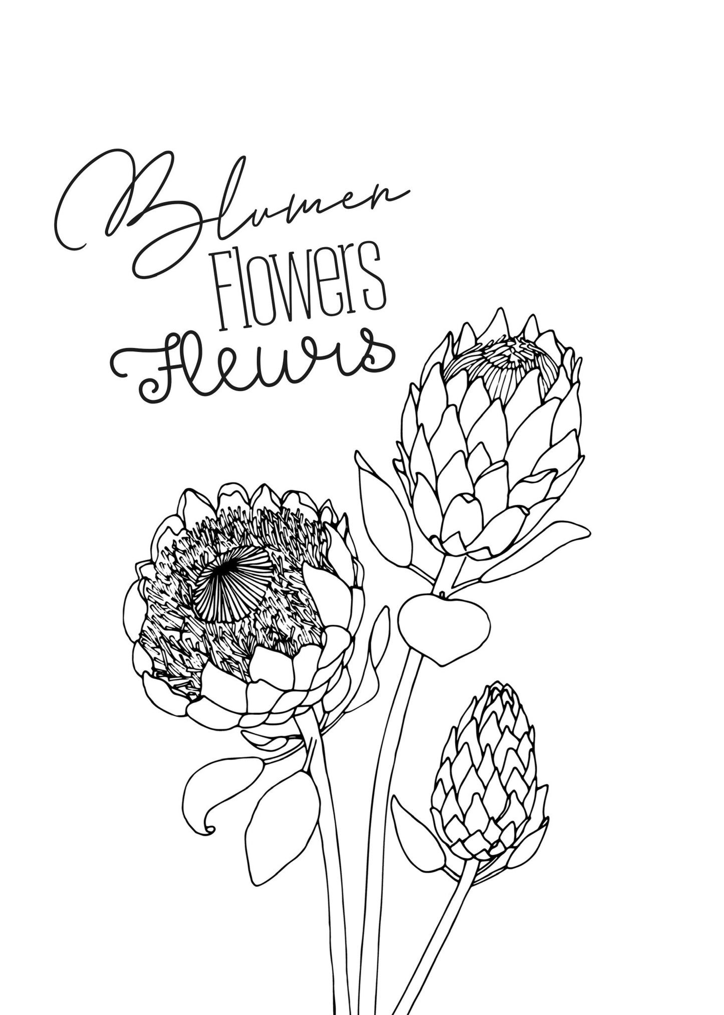 Flower Coloring Book for Adults (Printbook) - Monsoon Publishing USA