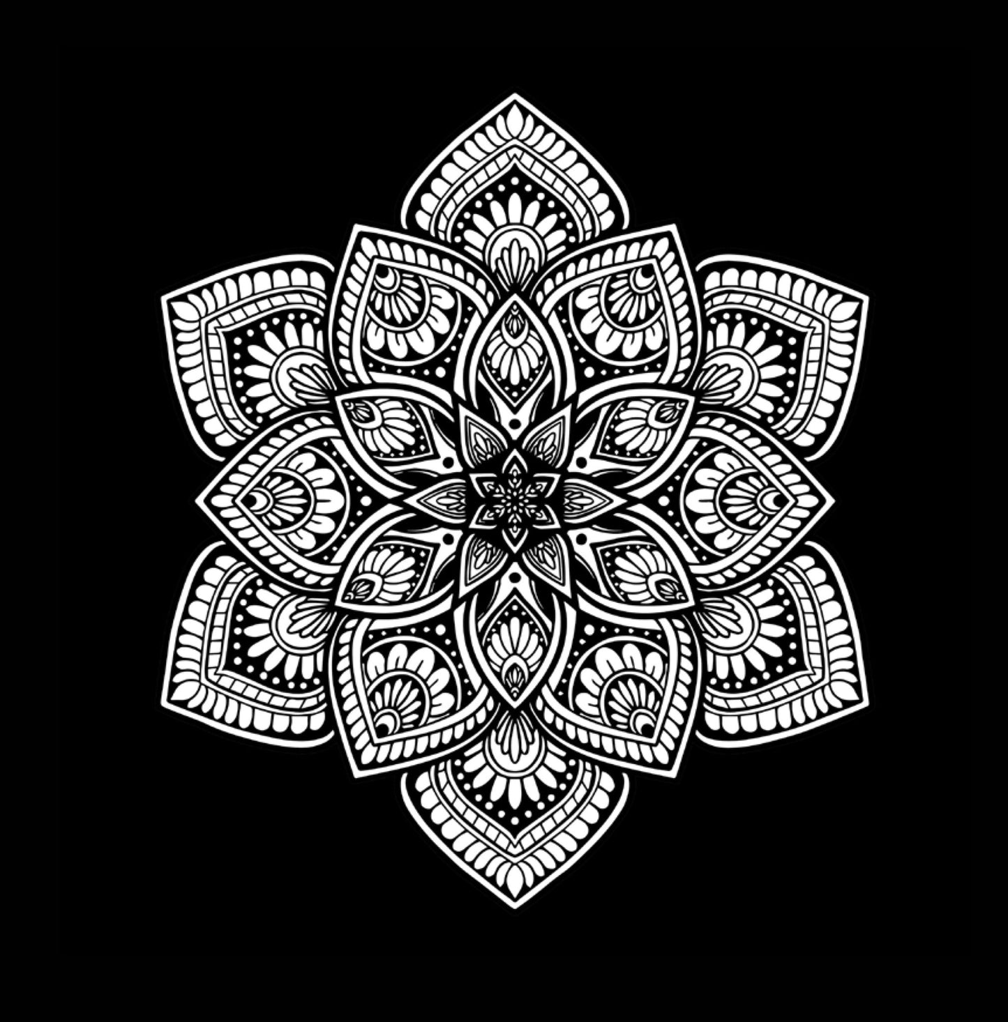 Mandala Coloring Book black background (Digital) - Monsoon Publishing USA