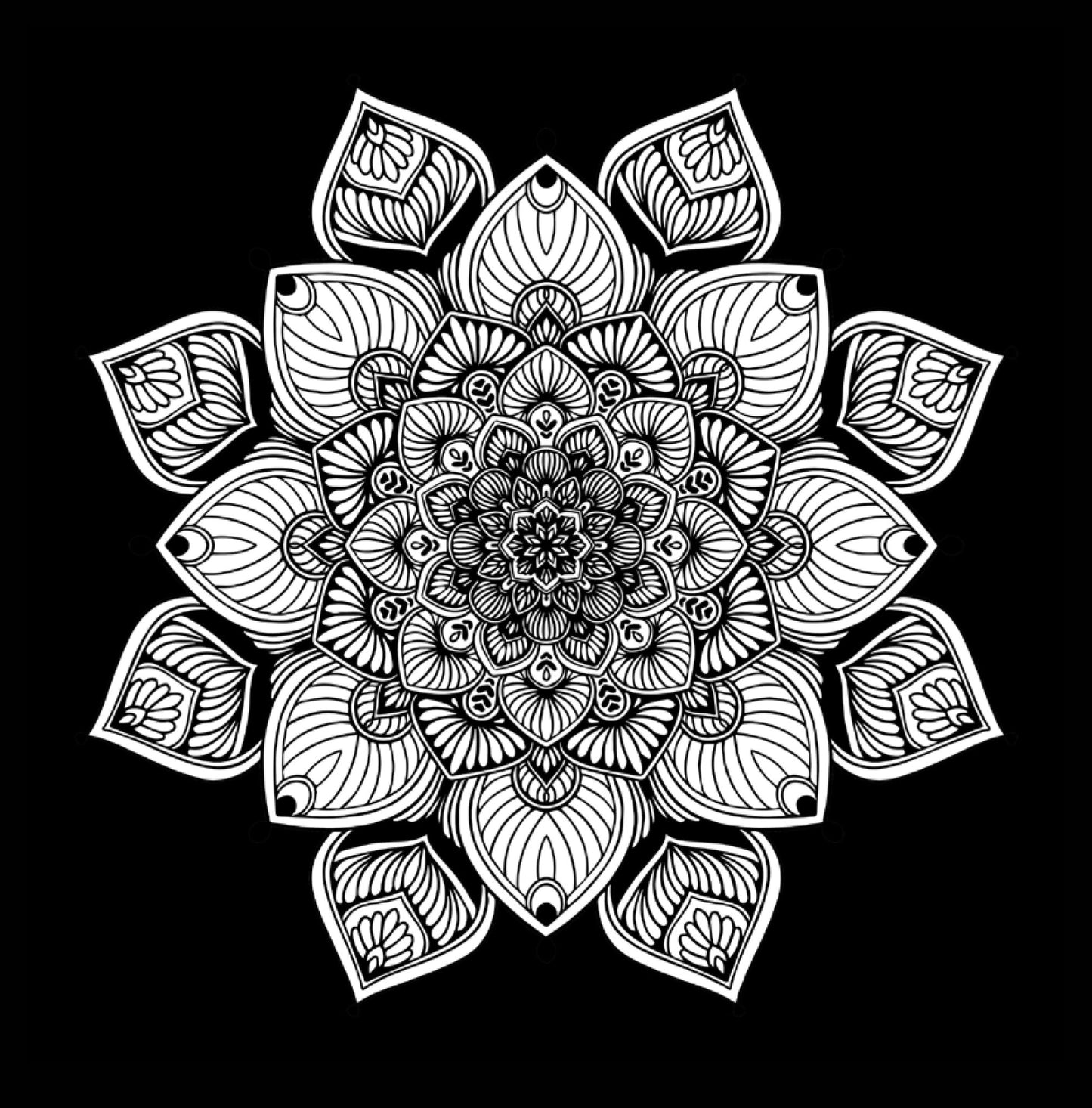 Mandala Coloring Book black background (Digital) - Monsoon Publishing USA