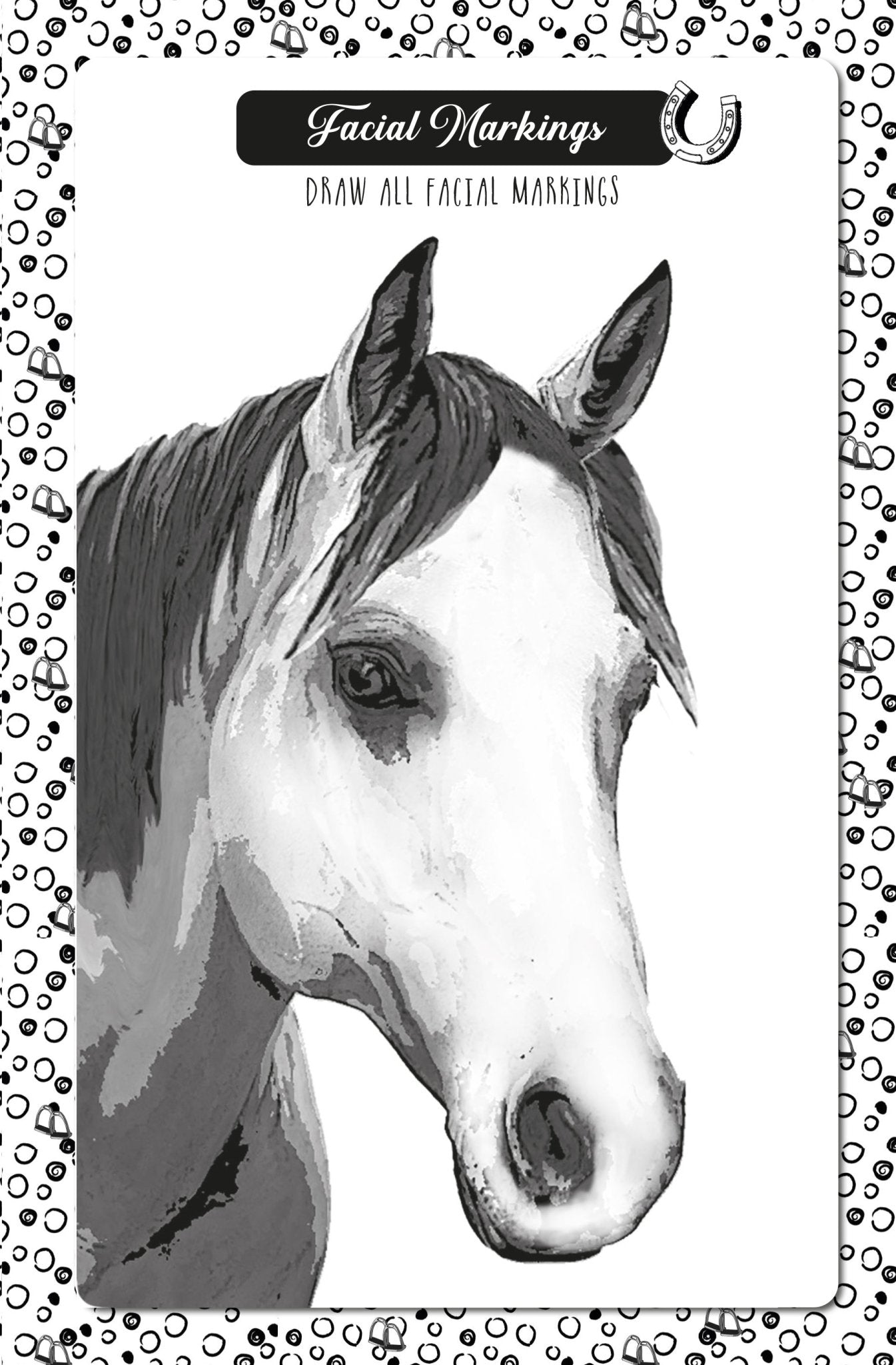 My Horse Riding Journal (Digital) - Monsoon Publishing USA