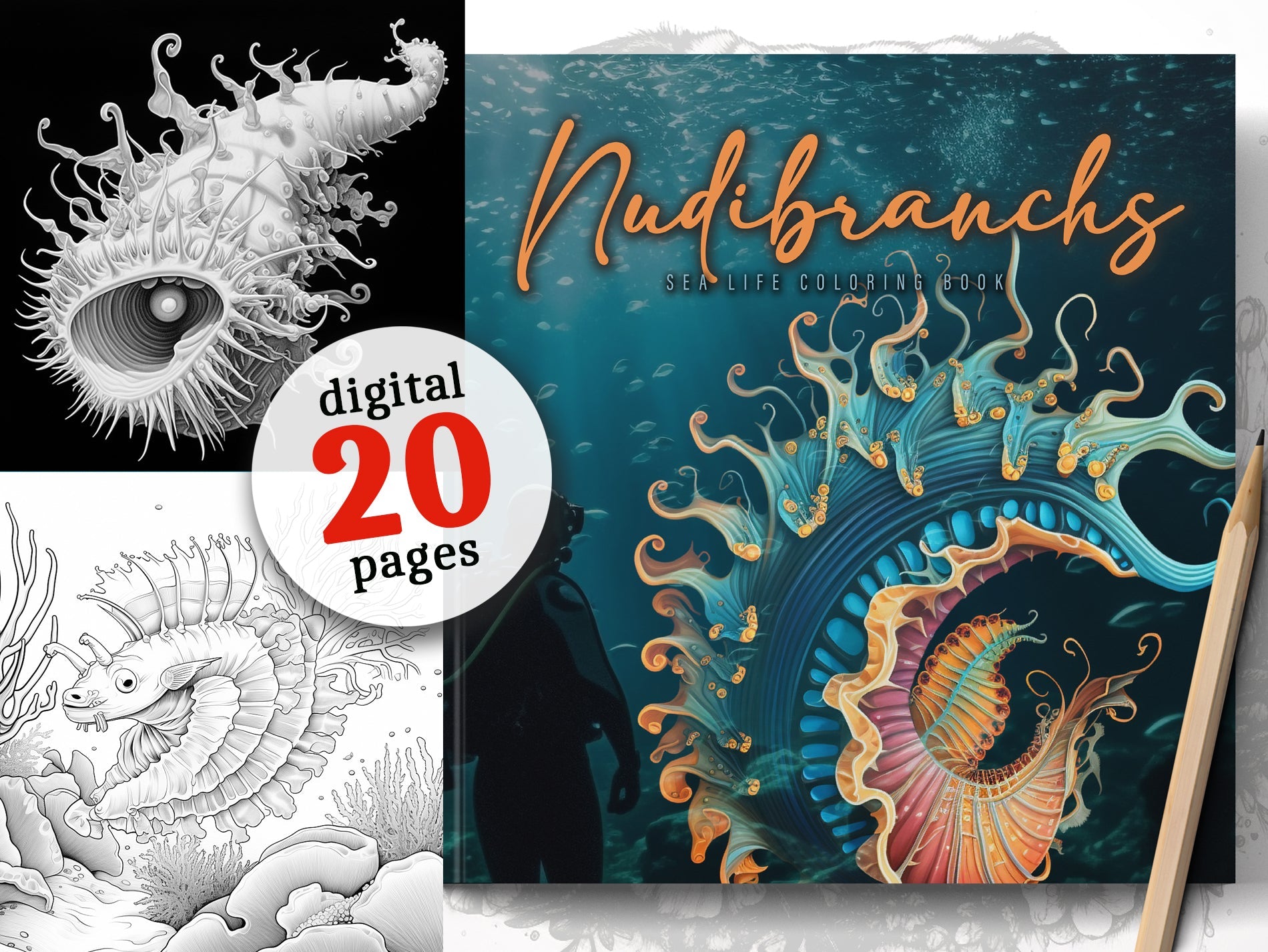 Nudibranchs Ocean Coloring Book (Digital) - Monsoon Publishing USA