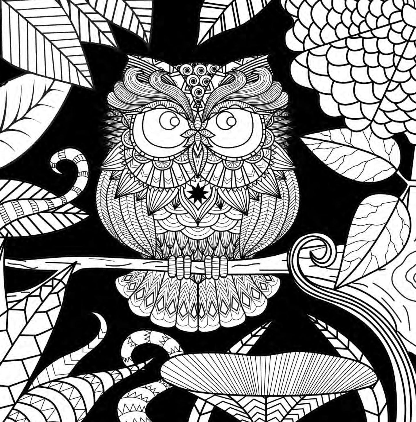 Owl Coloring Book for Adults (Printbook) - Monsoon Publishing USA