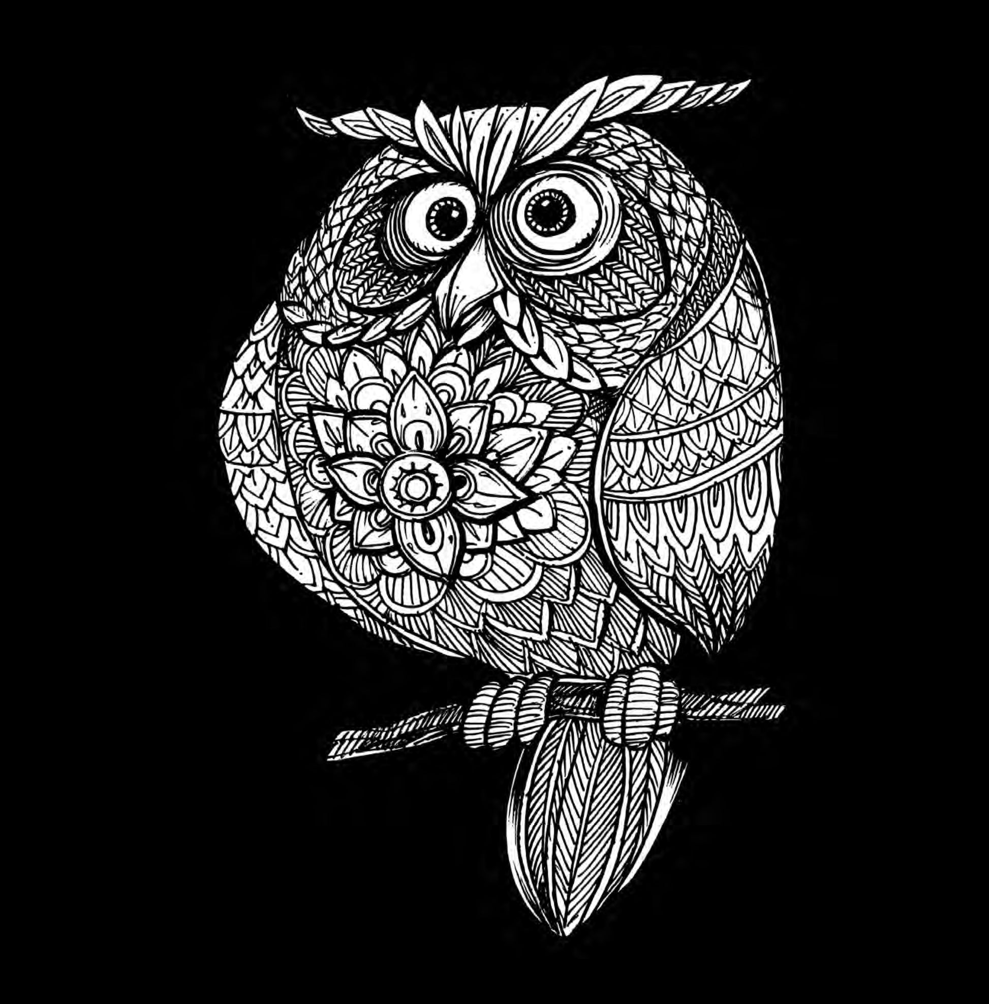 funny owl coloring book for adults